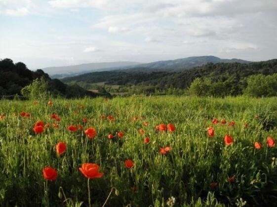 Domaine De Pommayrac - Photo4