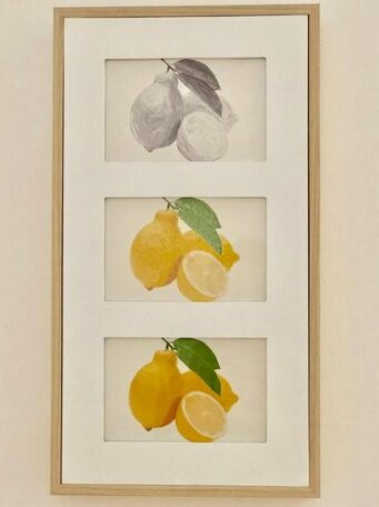 Yellow Lemon Tree - Appartement Centre Gares - Photo2