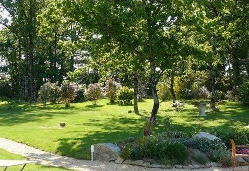 L'Arbre Voyageur - Photo5