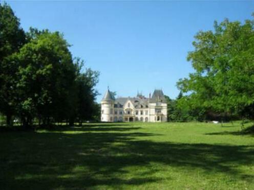 Chateau du Tout y Fault - Photo4