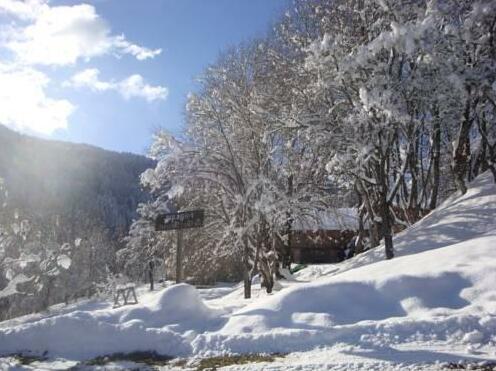 Chalet Le Pied Firmin - Photo3