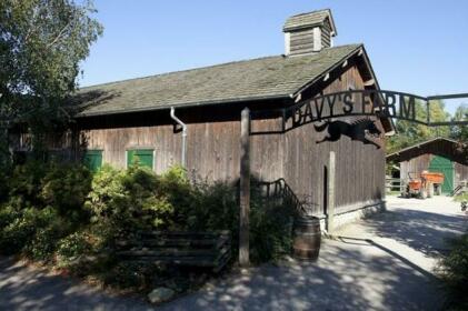 Disney's Davy Crockett Ranch