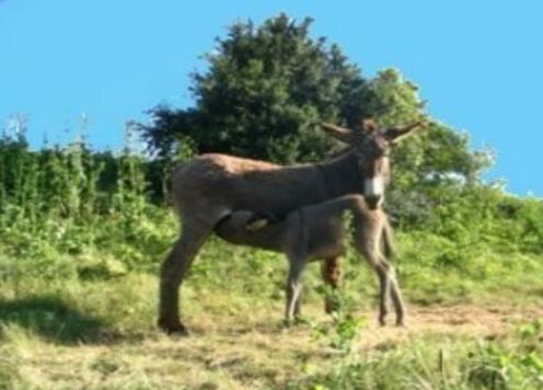 Domaine de Pech d'Aspe - Photo4