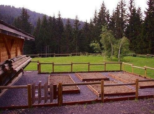 Chalet Alvine - Photo5