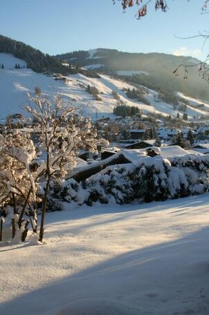 Chalet in Megeve - Photo3