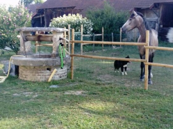 La ferme de la chassagne - Photo4