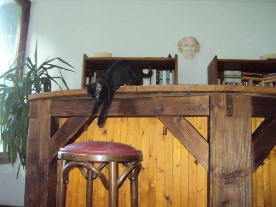 El gato negro - Photo2