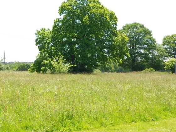 Forgetmenot Yurt - Photo5