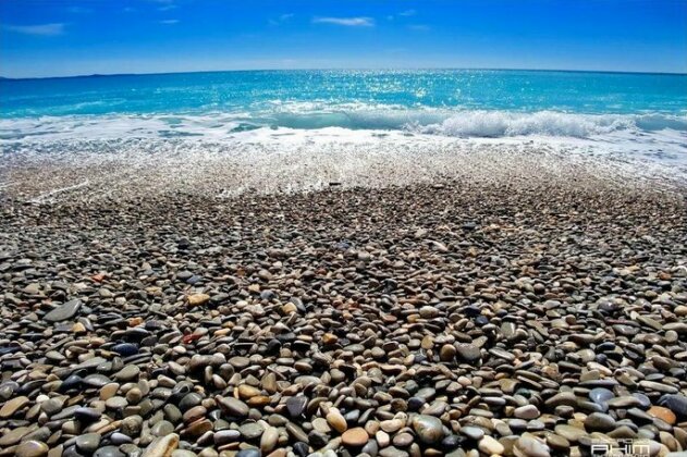 Florida Blue - Photo5