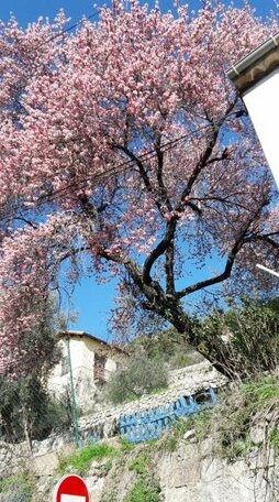 Holiday home Route de la Grave - Photo4