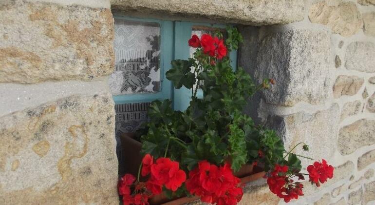An Tiez Bihan - Photo4
