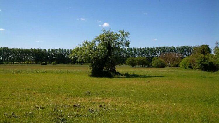 Gite et chambres d'hotes Le Chene Billault - Photo5