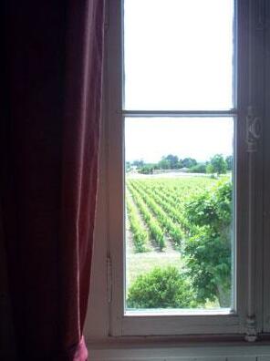 Chateau des Grandes Vignes - Photo4