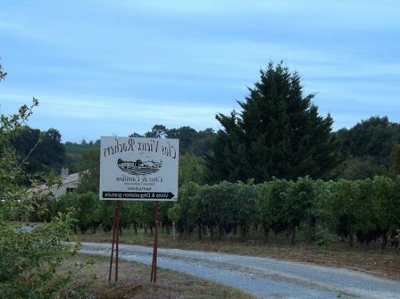 Clos Vieux Rochers Vineyard - Photo2