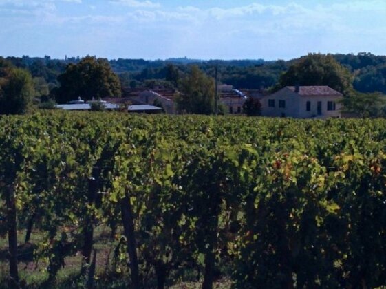Clos Vieux Rochers Vineyard - Photo5