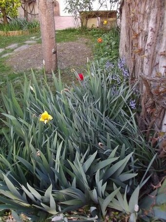 Les Gues Rivieres - Photo3
