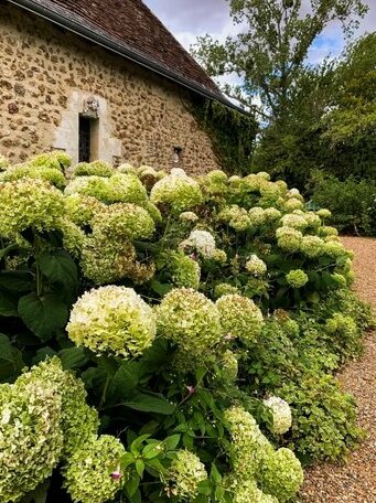 Le Manoir de Maucartier - Photo3