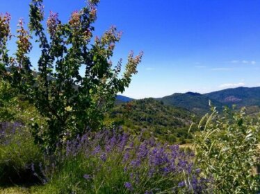 Les Carlines du Grand Bois