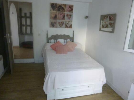 Les Pins d'Alep - Photo4