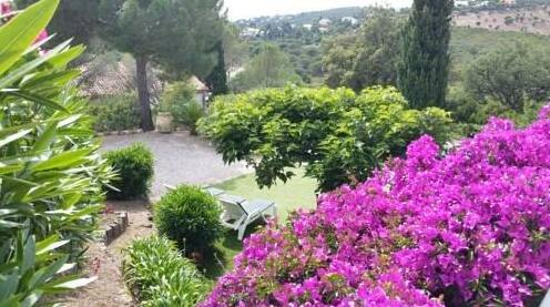 Villa Rousse - Photo3