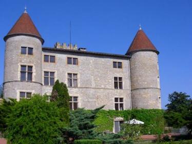 Chateau De Tanay