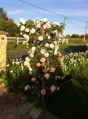 Les Arums de Fondeminjean - Photo3