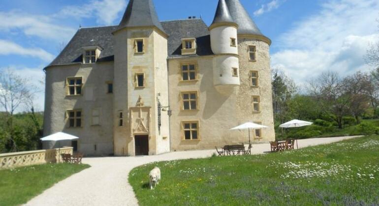 Le Chateau de Saint Martory - Photo2