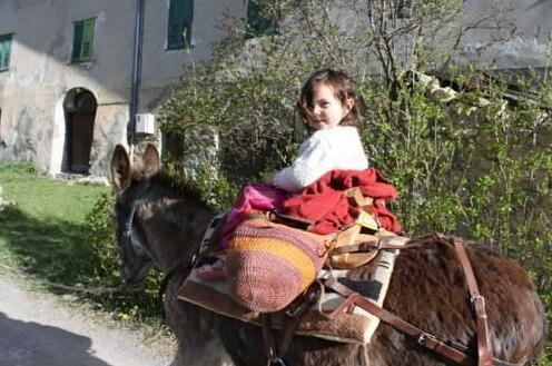 Gite Auberge les Granges - Photo2