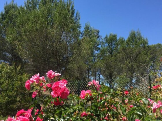 Villa St Tropez Saint-Raphael - Photo4