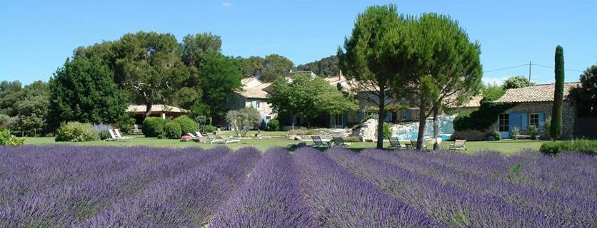 Mas Collection Villas Saint-Remy-de-Provence - Photo4