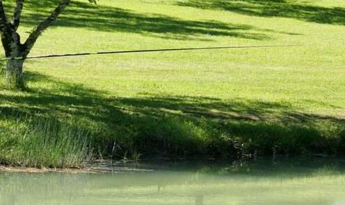 Moulin des Sandaux - Photo3