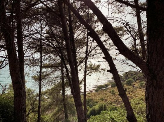 Studio Seaview - Photo3