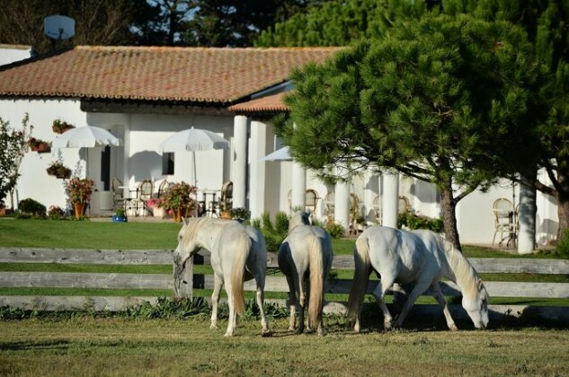 Hotel Mas de la Grenouillere - Photo2