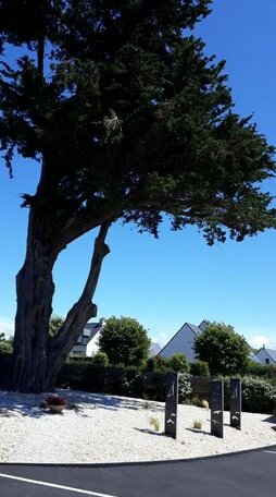 Aupres de mon arbre Sarzeau - Photo5