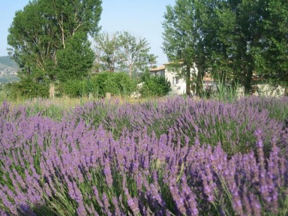 Atelier Pivoine - Photo3