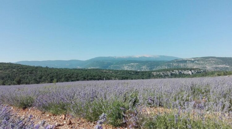 La Maguette - Photo3