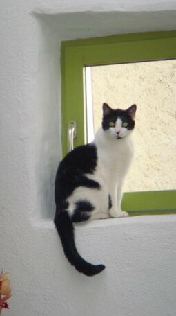 La Maison Bleue B&B - Photo2