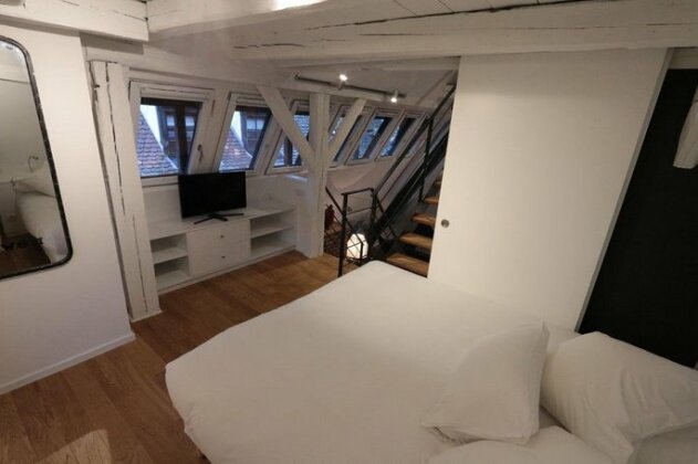 Le Lohkas - LOFT Triplex Ultra design Petite France - Photo4