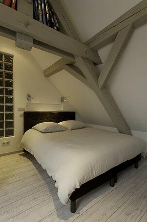 Luxury Duplex Strasbourg - Photo3