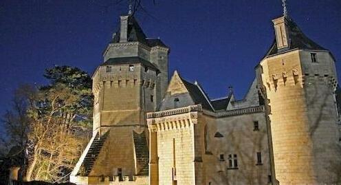 Demeure Chateau de Ternay - Photo2