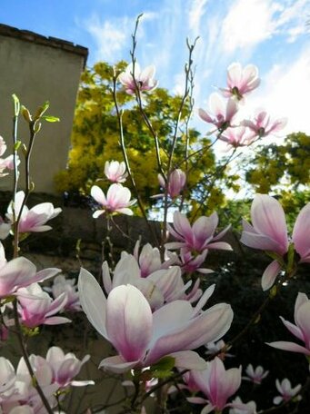 Charm & Calm Apartment/Jardin des Plantes - Photo5