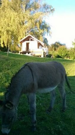 Le Praz de la Meunaz - Photo2