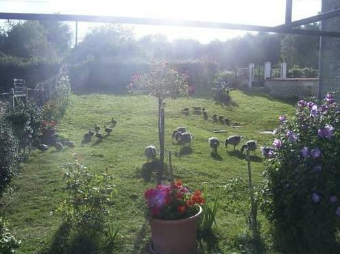 Holiday Home Les Vallons - Photo4