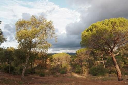Le Mas du Rouquan - Photo4