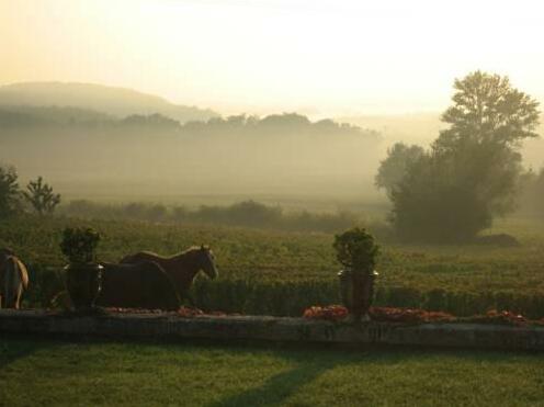 Domaine La Javerniere - Photo5