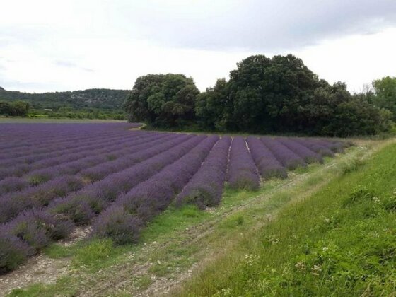 Villa en Provence - Photo3