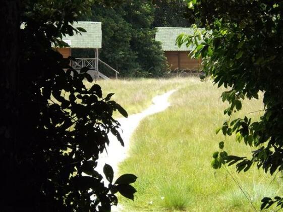 Pongara Lodge - Photo5