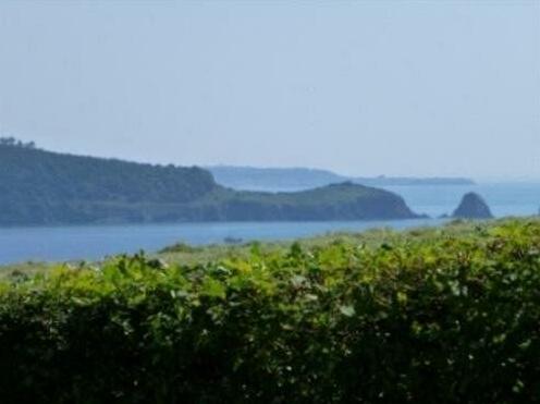 Pinewood B&B - Photo5