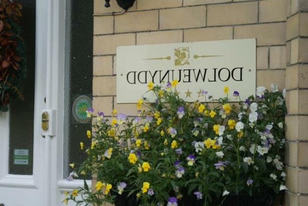 Dolweunydd Bed and Breakfast - Photo2