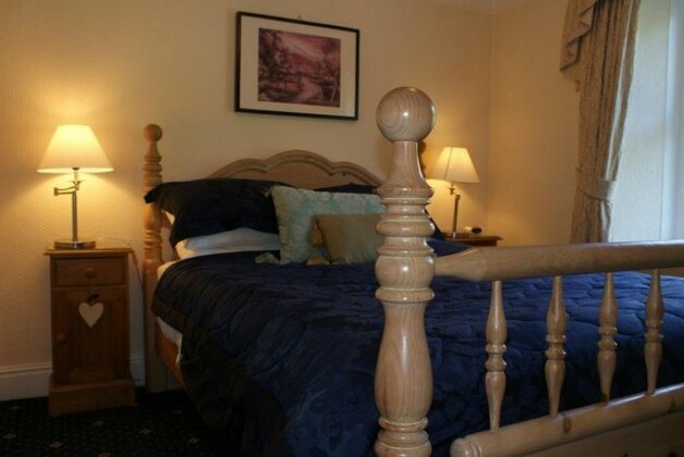 Dolweunydd Bed and Breakfast - Photo3